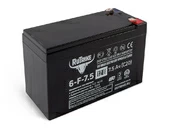 Тяговый аккумулятор RuTrike 6-F-7,5 (12V7,5A/H C20) - Фото 0