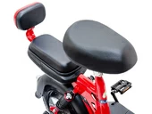 Электровелосипед Elbike Dacha Mini 20 - Фото 15
