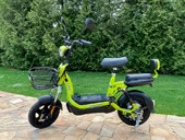 Электровелосипед Elbike Dacha Mini 20 - Фото 20
