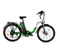 Elbike Galant Big VIP 13 (Зеленый)
