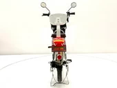 Электровелосипед GreenCamel Транк 18 V8 (R18 250W 60V 13Ah) - Фото 3