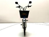 Электровелосипед GreenCamel Транк 20 V8 (R20 250W 60V 13Ah) - Фото 7