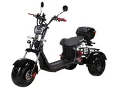 Электротрицикл SKYBOARD TRIKE BR40-3000 PRO - Фото 4