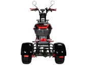 Электротрицикл SKYBOARD TRIKE BR40-3000 PRO - Фото 7