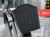 Электровелосипед GreenCamel Транк Монстр PRO (R16FAT 500W 60V20Ah) - Фото 7