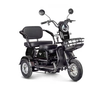 Gelbert Caf 48V/60V 600Вт (черный)
