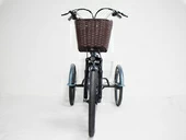 Электровелосипед трицикл GreenCamel Трайк-B (R24 500W 48V 20Ah) - Фото 5