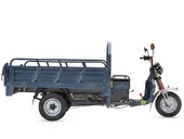 Электротрицикл Rutrike Титан 2000 ГИДРАВЛИКА 60V2000W - Фото 7