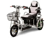 Электротрицикл Transporter PRO Li-Ion - Фото 1