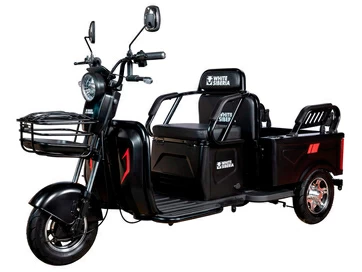 Электротрицикл White Siberia SIBTRIKE Max 2000W (2025)